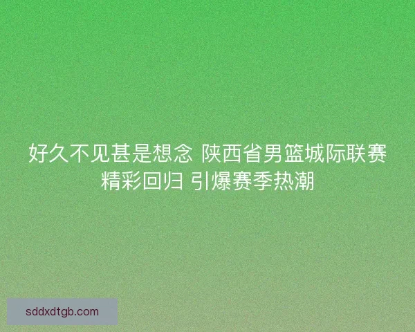 好久不见甚是想念 陕西省男篮城际联赛精彩回归 引爆赛季热潮
